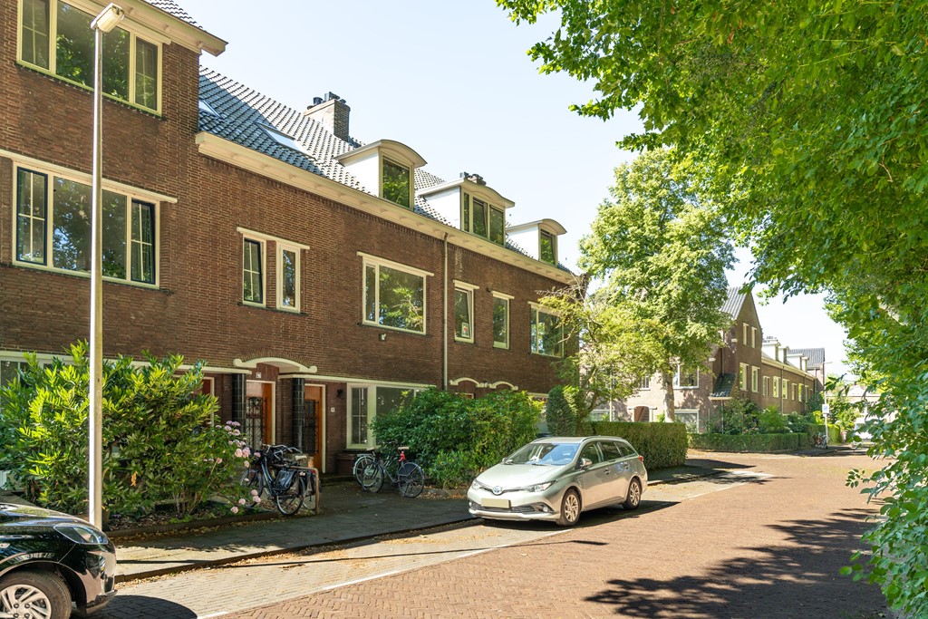 Fotoreportage - 8.jpg